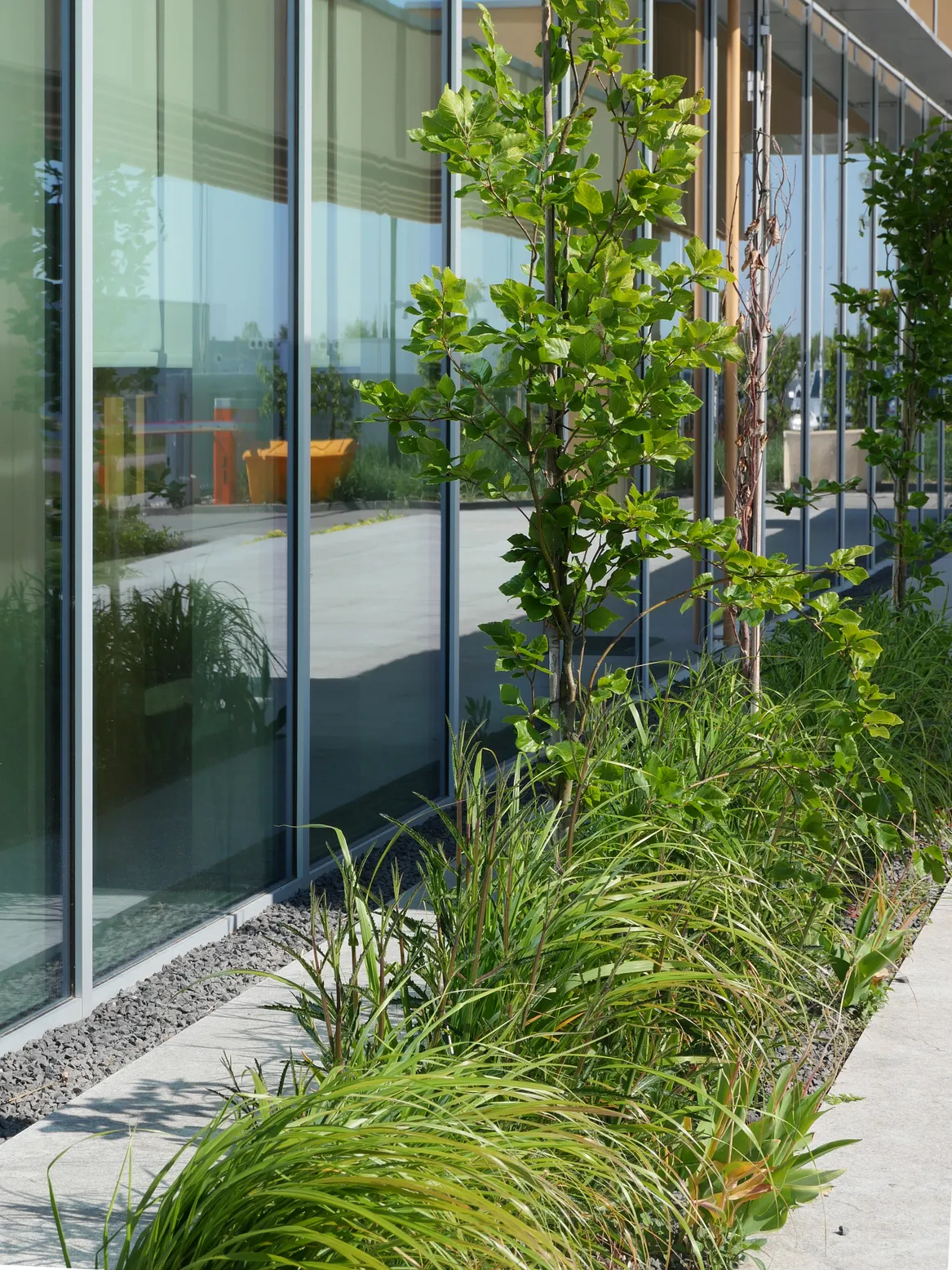 Rabata przy biurowcu. Turzyce.