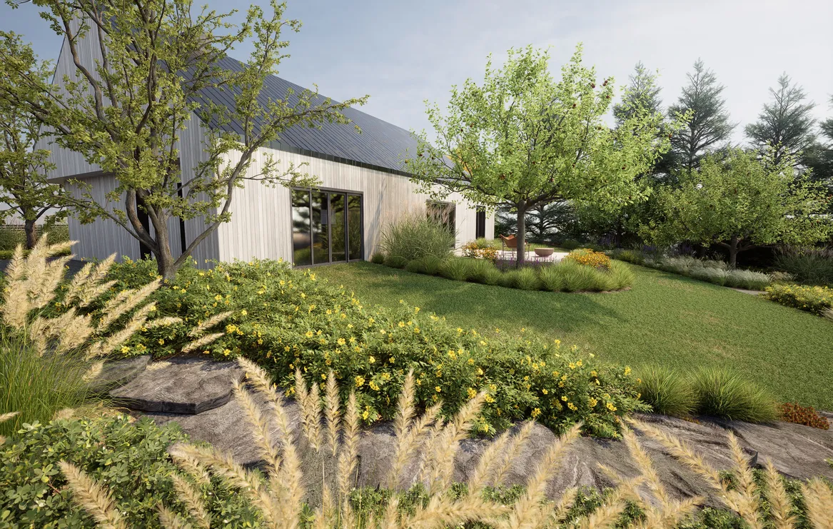 Kamienne schody otulone dziurawcem. Trawnik o swobodnych kształtach i taras przy domu w formie nowoczesnej stodoły z drewnianą elewacją.