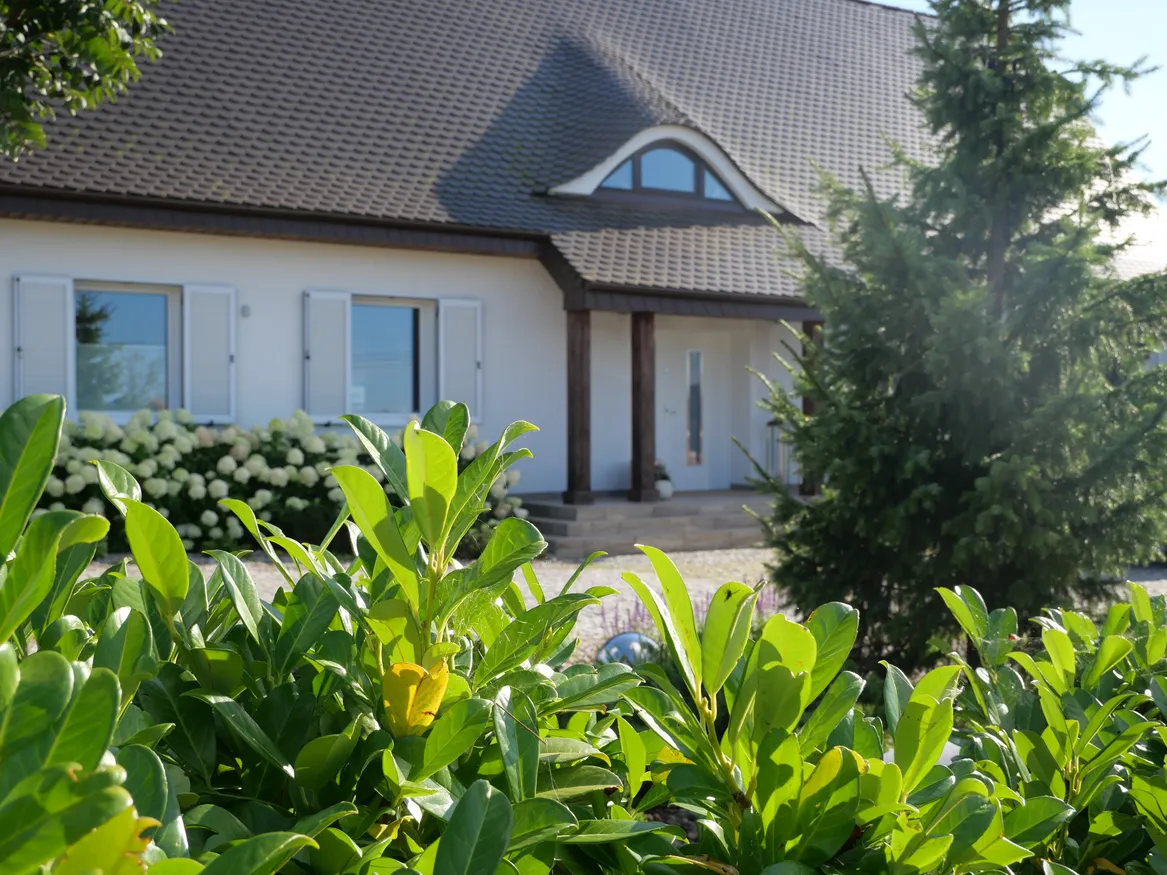 Widok na wejście do domu. Na pierwszym planie laurowiśnia.