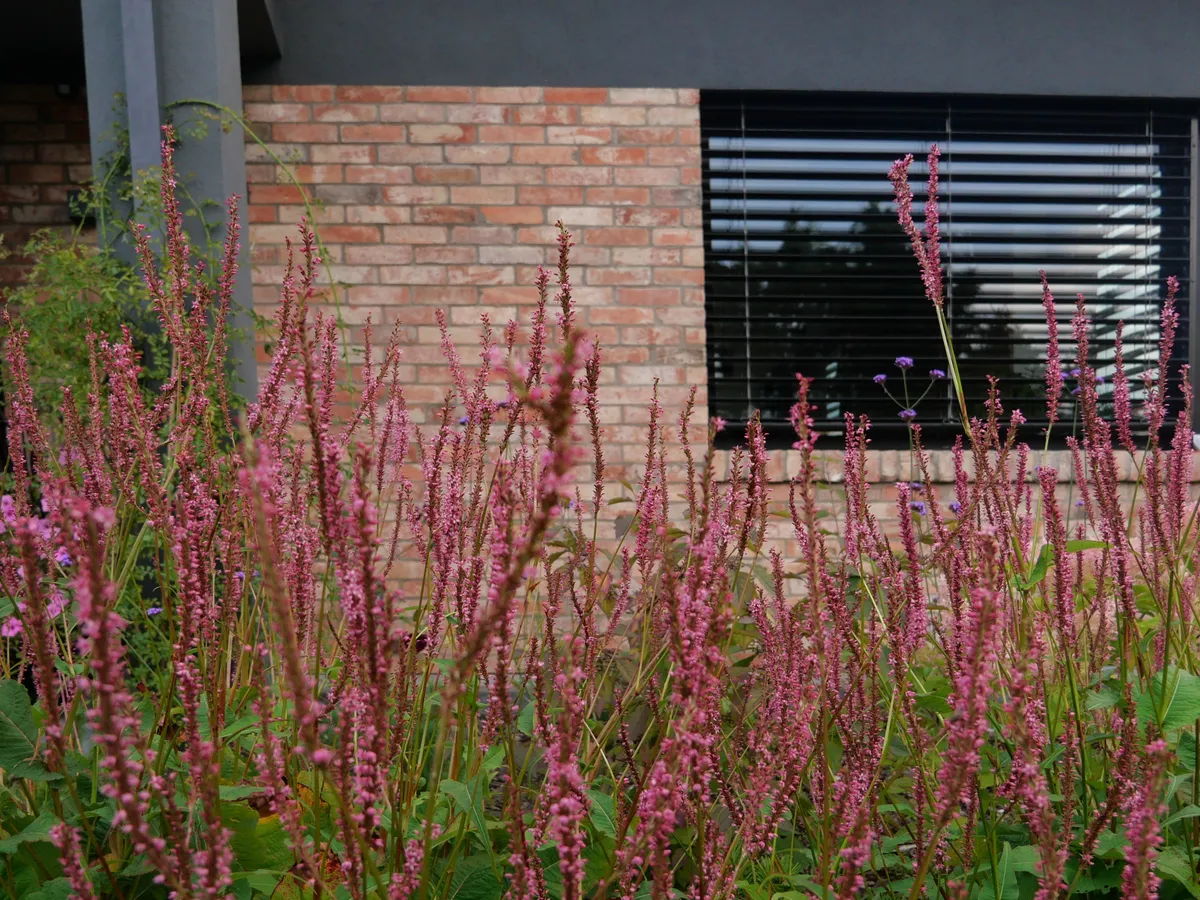 Sielski ogród w Siemianicach koło Słupska