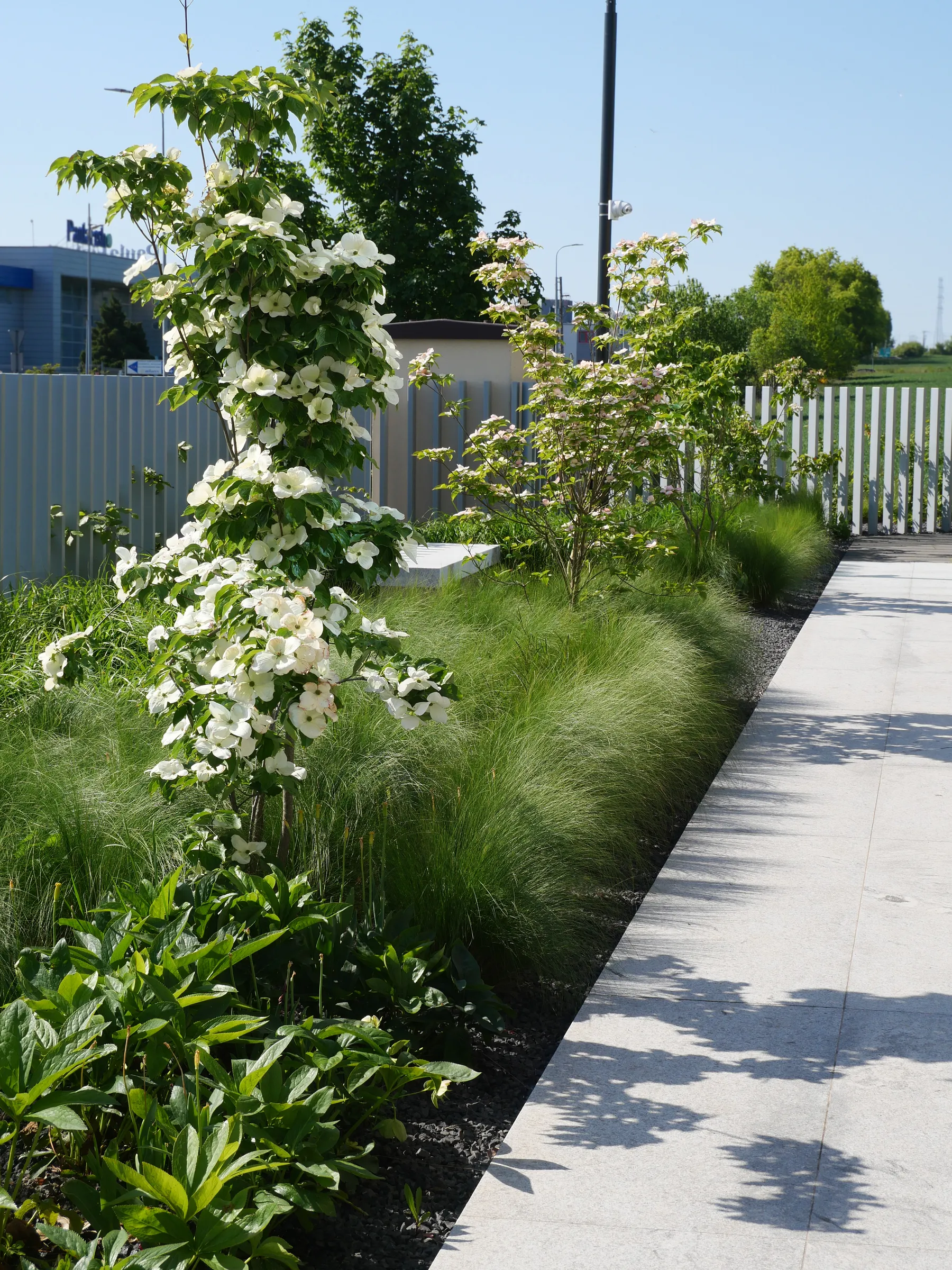 Główne zdjęcie dla Zieleń przy pracowni cukierniczej w Słupsku