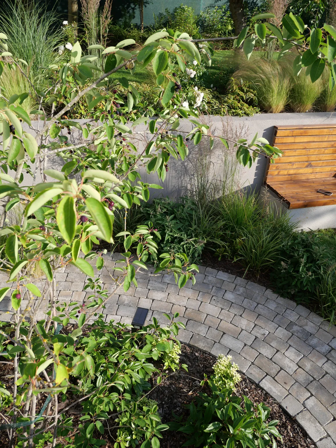 Brukowana ścieżka między rabatami roślin.