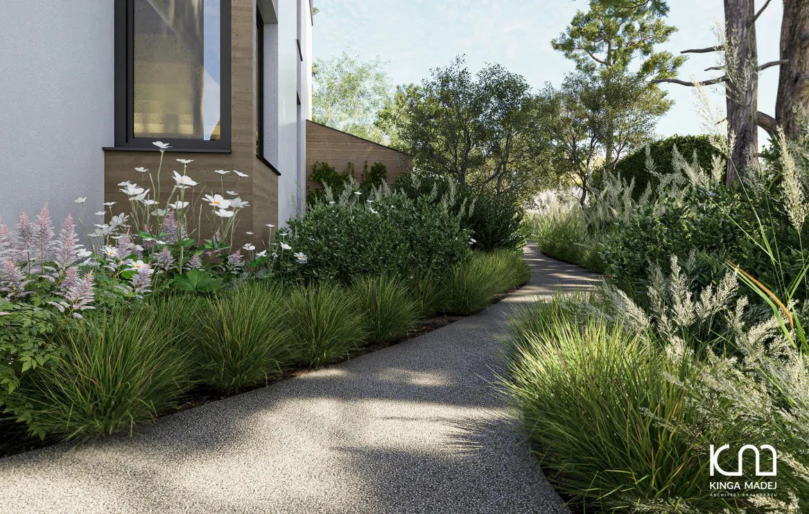 Ścieżka mineralna otoczona seslerią i roślinami w stylu leśnym (anemony, tawułki i ostrokrzewy)