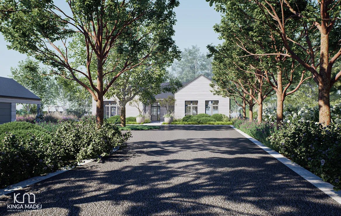 Widok z alei dojazdowej obsadzonej klonami Freemana
