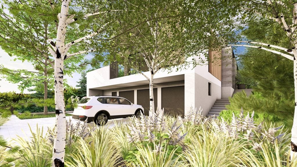 Trawy, tawułki i brzozy przy podjeździe. W tle sosny.