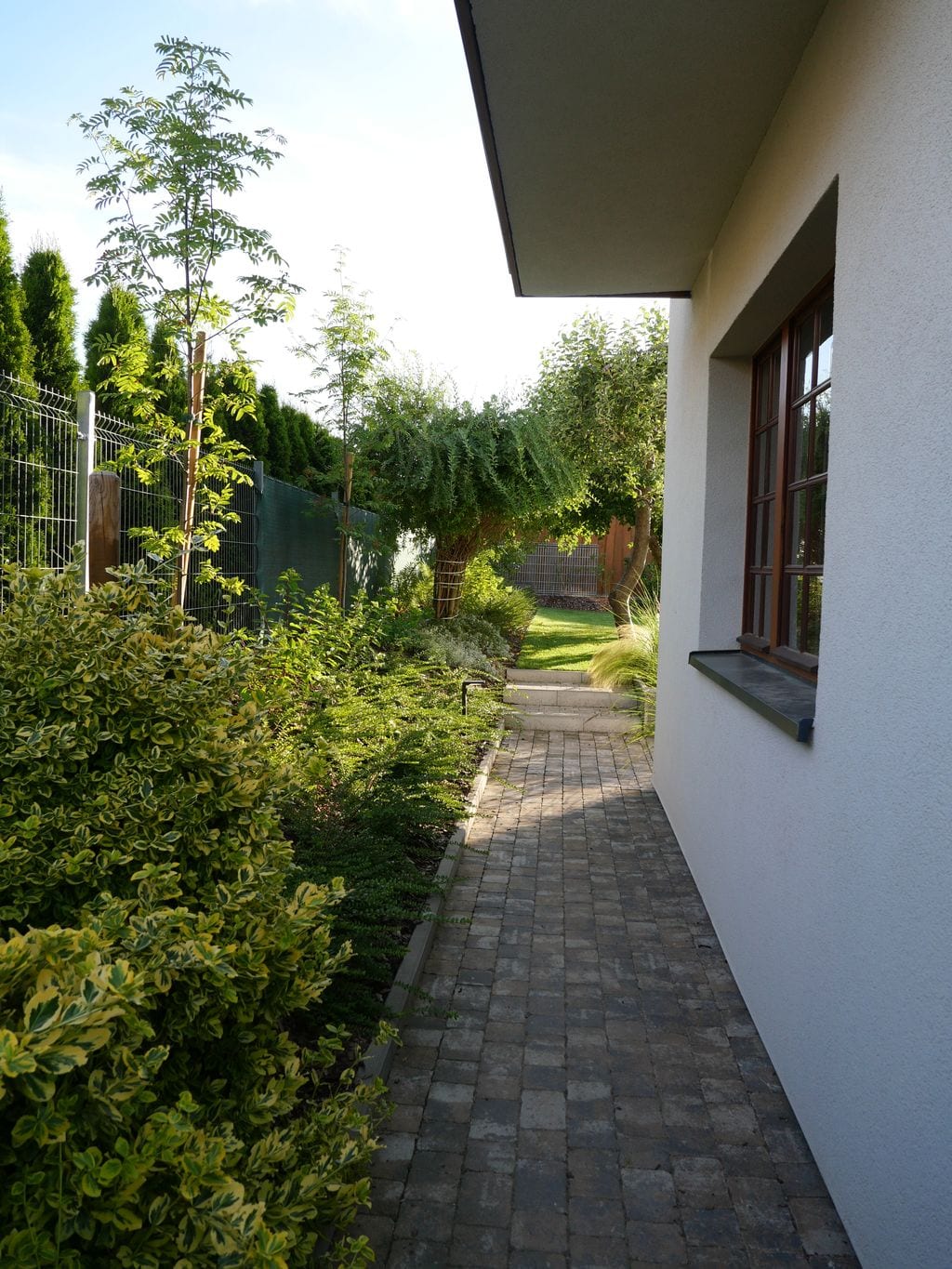 Ścieżka brukowa idąca wzdłóż domu. Rabata z roślinami zimozielonymi.