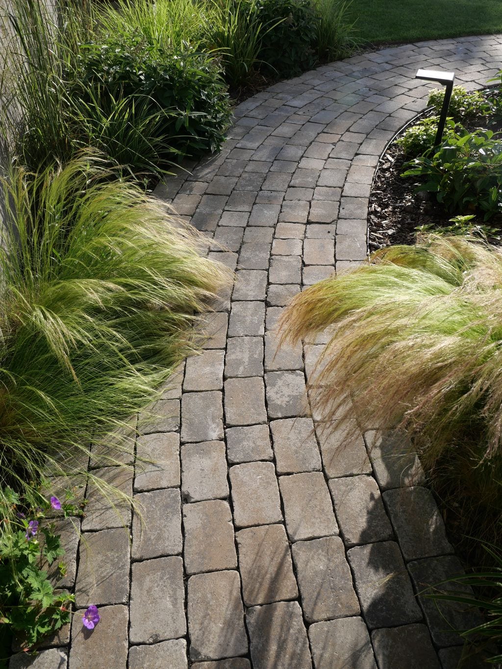 Ścieżka brukowa prowadzona po łuku otoczona roślinami