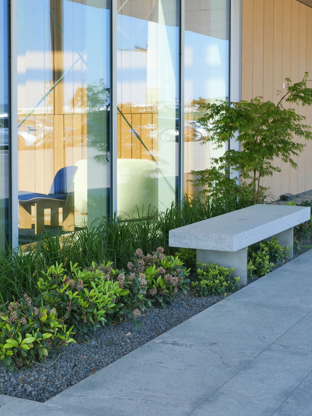 Nasadzenia boczne ze skimmią, runianką, klonem palmowym i trzcinnikiem krótkowłosym. Granitowa ławka do siedzenia.