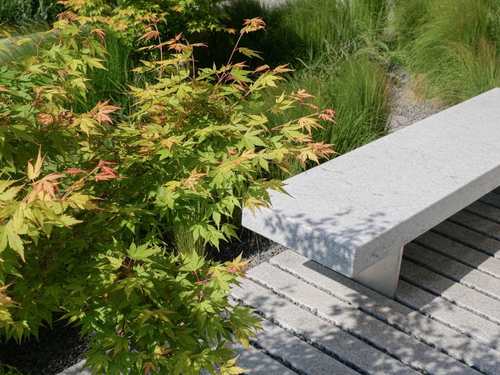 Klon palmowy, granitowa ławka, w tle stipy.