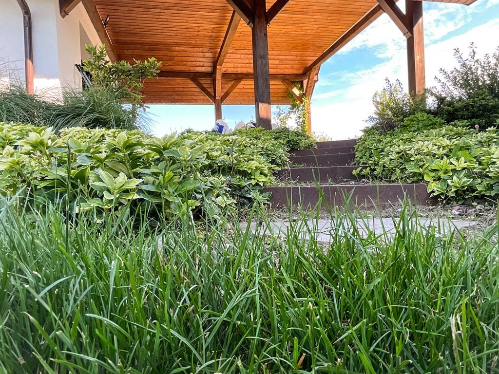 Schody obsadzone runianką. Cortenowe oporniki schodów