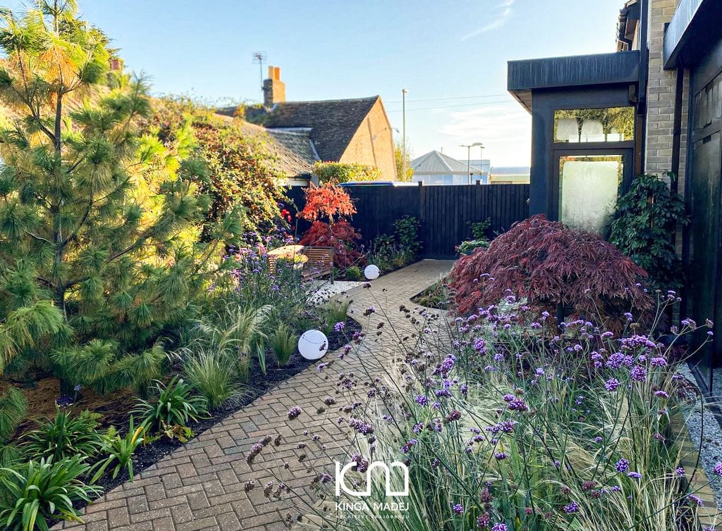 Ścieżka boczna z cegły ułożonej w jodełkę. Sosna wejmutka, byliny, ostnice, klon palmowy.