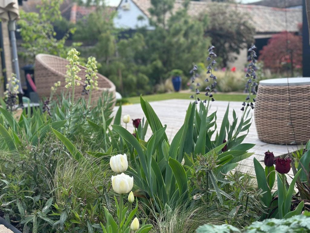 Inne ujęcie rabaty wiosennej