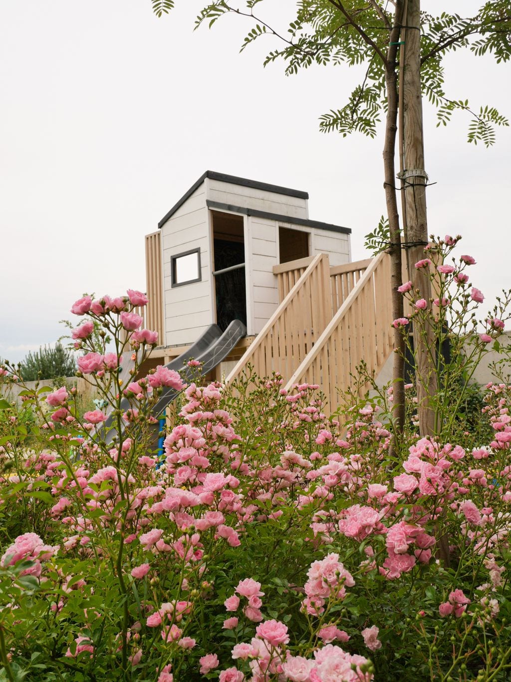 Widok na domek zabaw dla dzieci. Z przodu różowe róże okrywowe, obok jarzębina.