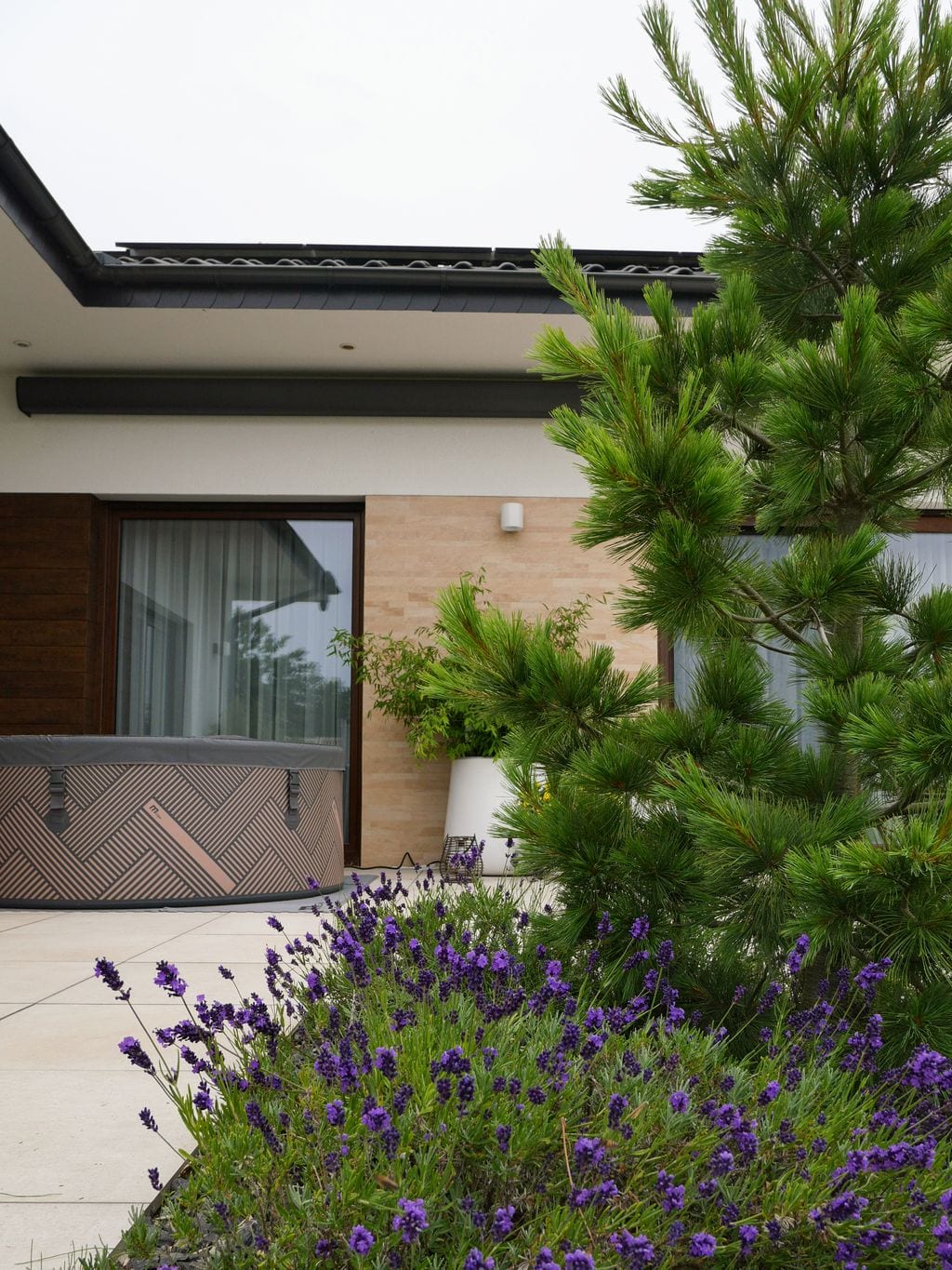 Widok na taras z dmuchanym jacuzzi, i donicami. Sosna, lawenda, jasne płyty na tarasie.