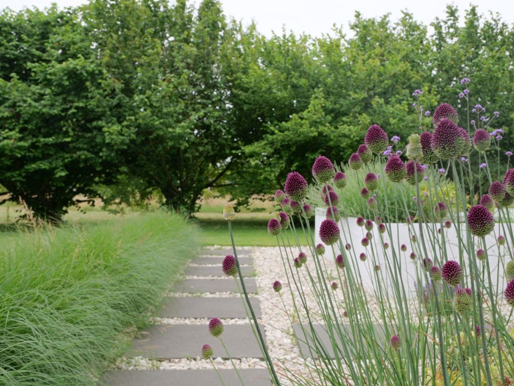 Widok na grusze oddzielające strefę naturalistyczną od przydomowej