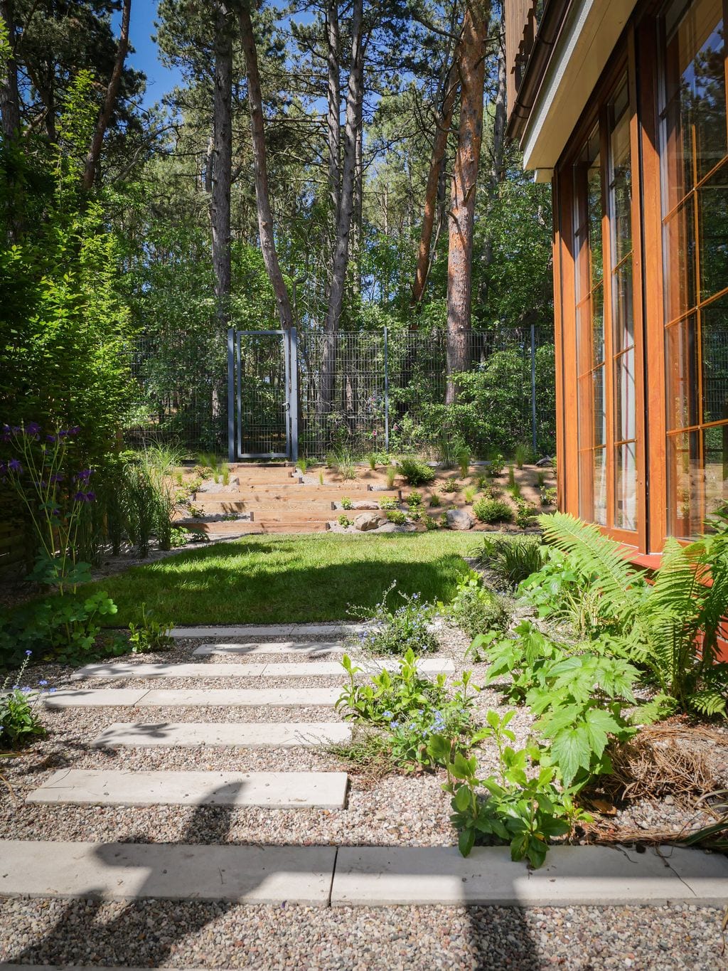 Ścieżka z wąskich płyt betonowych oddzielona żwirem rzecznym, ułożona z przesunięciem. Rośliny leśne, cieniolubne (bodziszki, paprocie, zawilce)